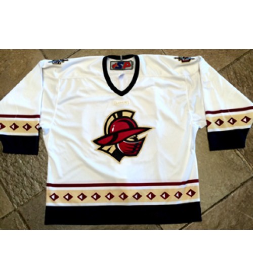 Custom ECHL Atlanta Gladiators Authentic Hockey Jersey White